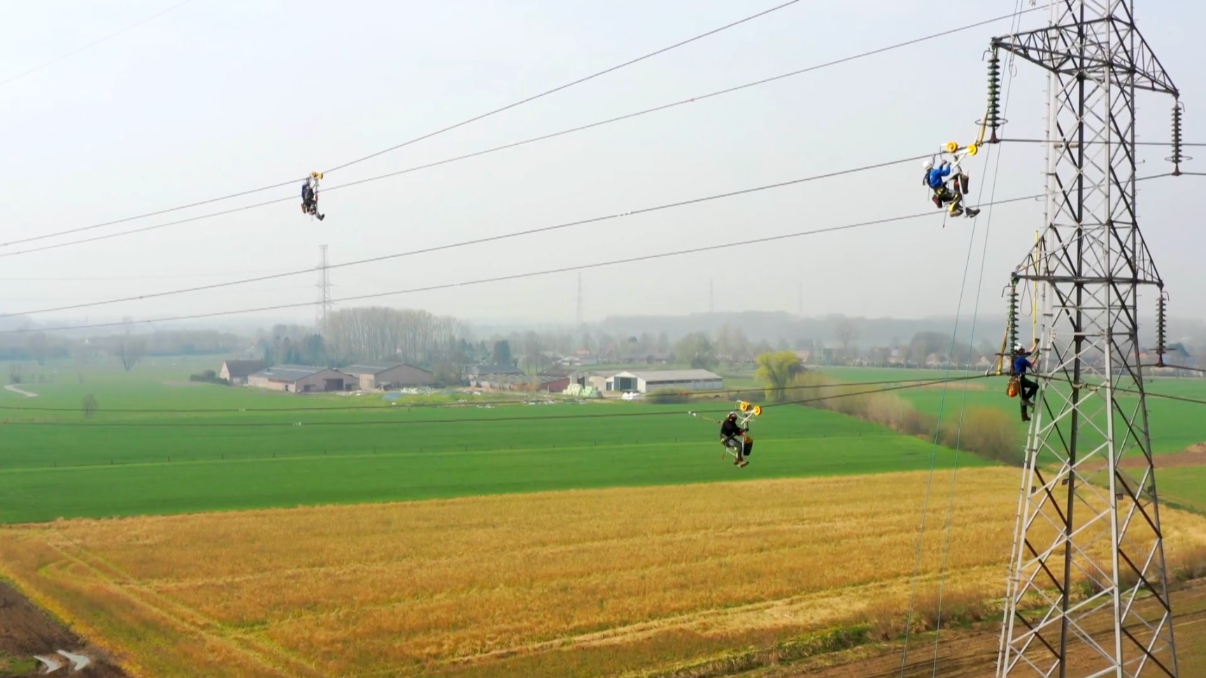 Veilig voor vogels